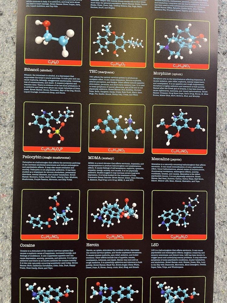 Mind Molecules Science Chemistry Poster Drugs Molecular Chart 12x36