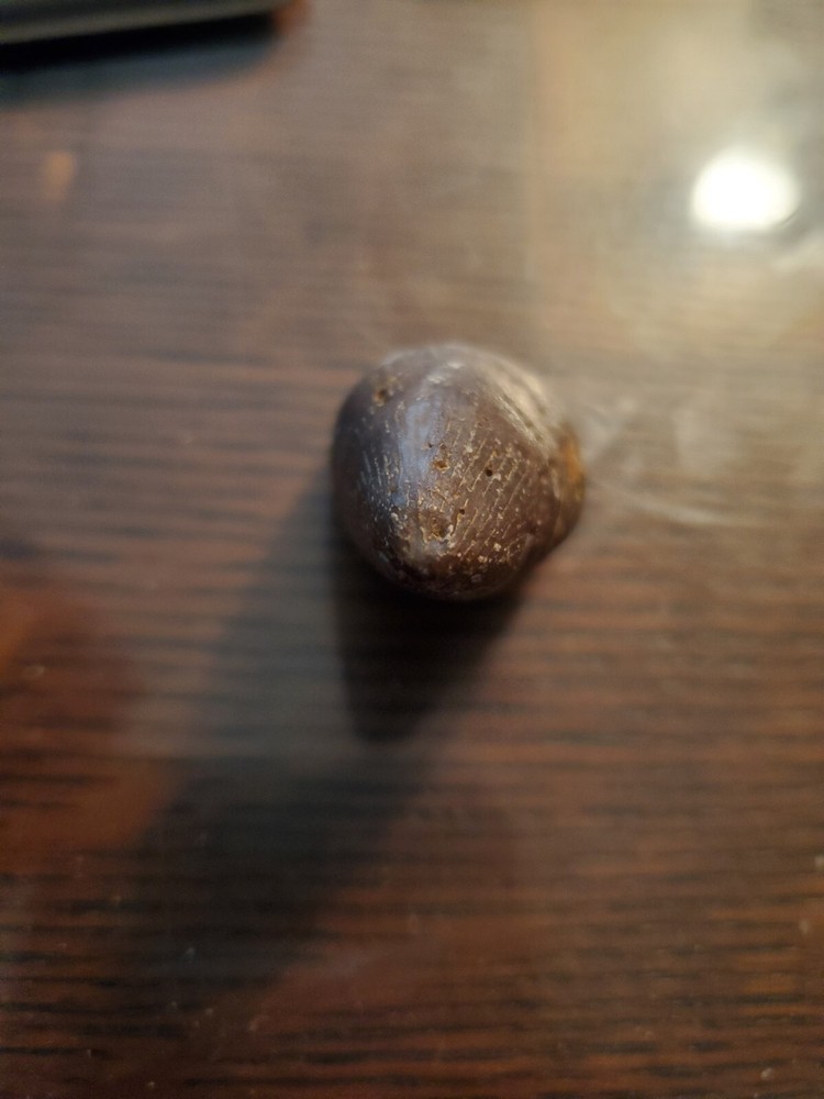 Primitive Ancient Petrified Animal Tooth Prehistoric Dinosaur Unknown