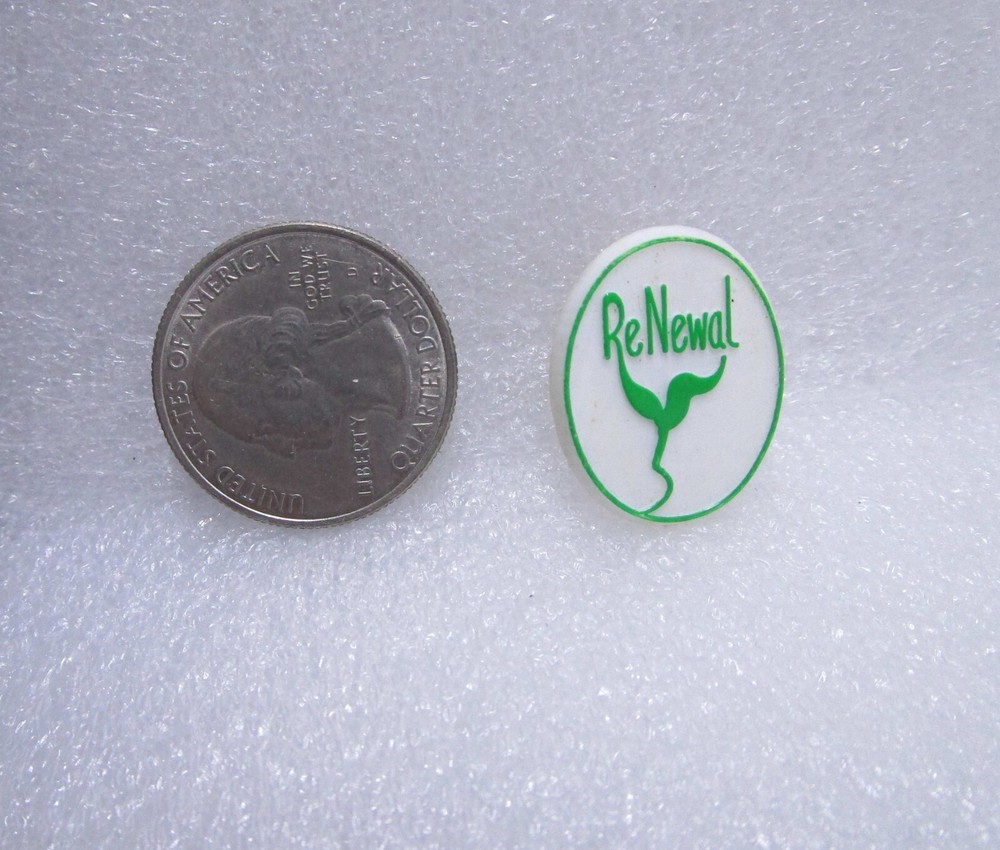 Renewal Plastic Pin