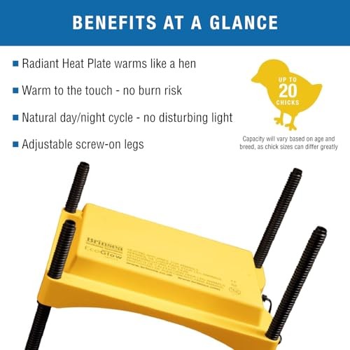 Brinsea Ecoglow Safety 600 Chick or Duckling Brooder, Assorted Sizes