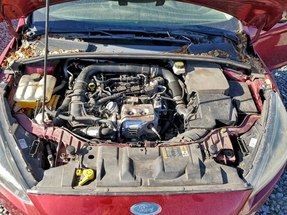 LEFT REAR DOOR WINDOW REGULATOR OEM 2018 FORD FOCUS