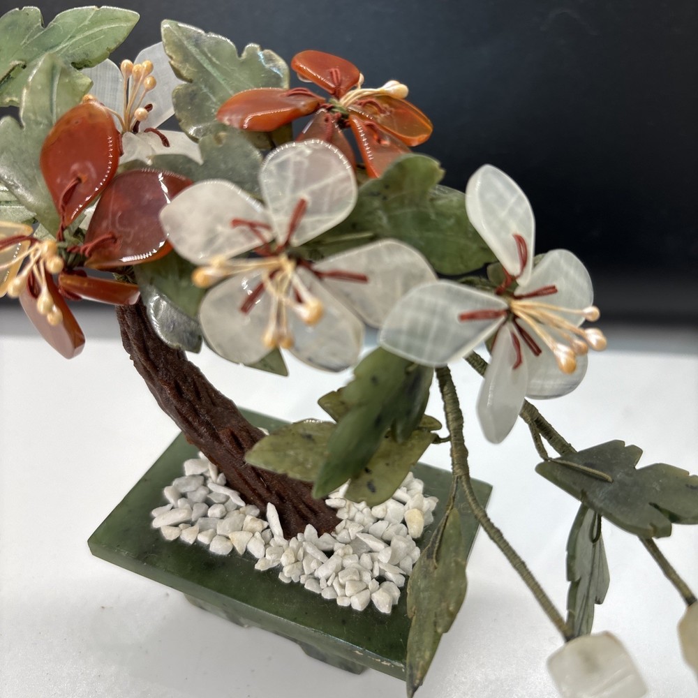Curved Chinese Jade Tree
