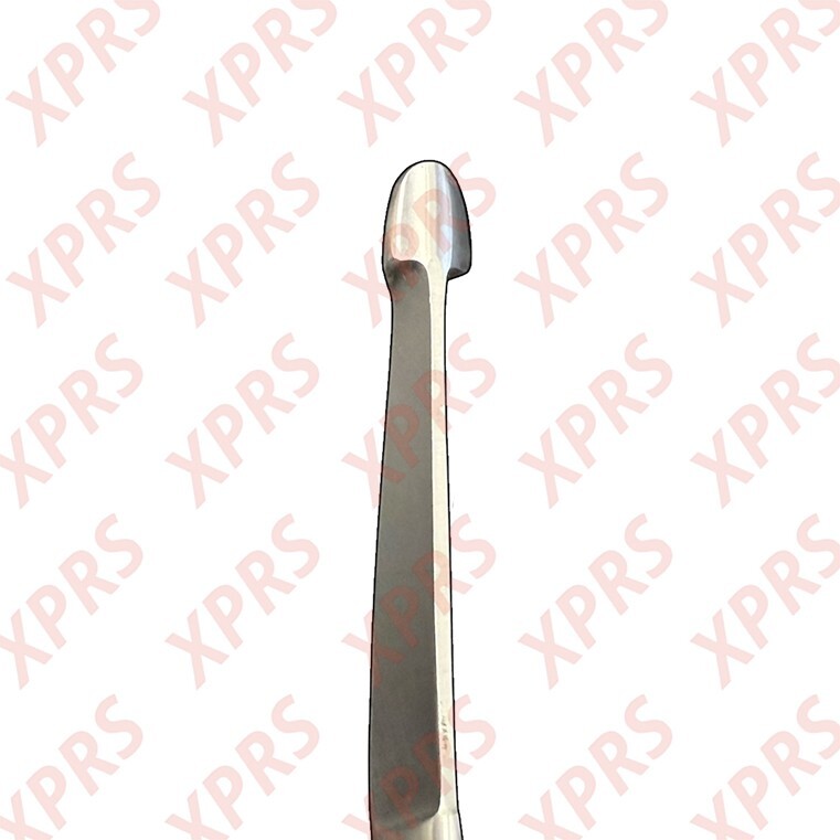 Lister Bandage Scissors, 5.5", Extra Fine Blades
