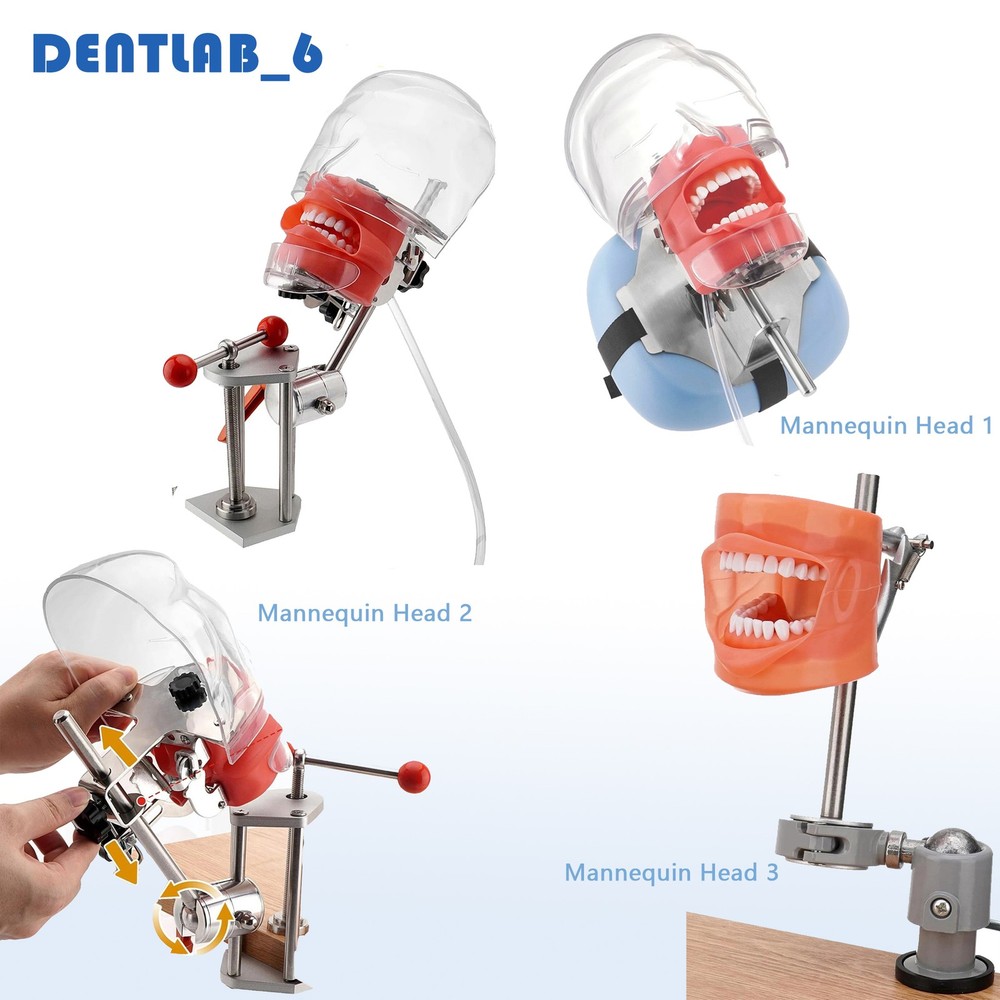 New Dental Simulator Mannequin Head Teeth Model Typodont Model &Teeth Mount Pole