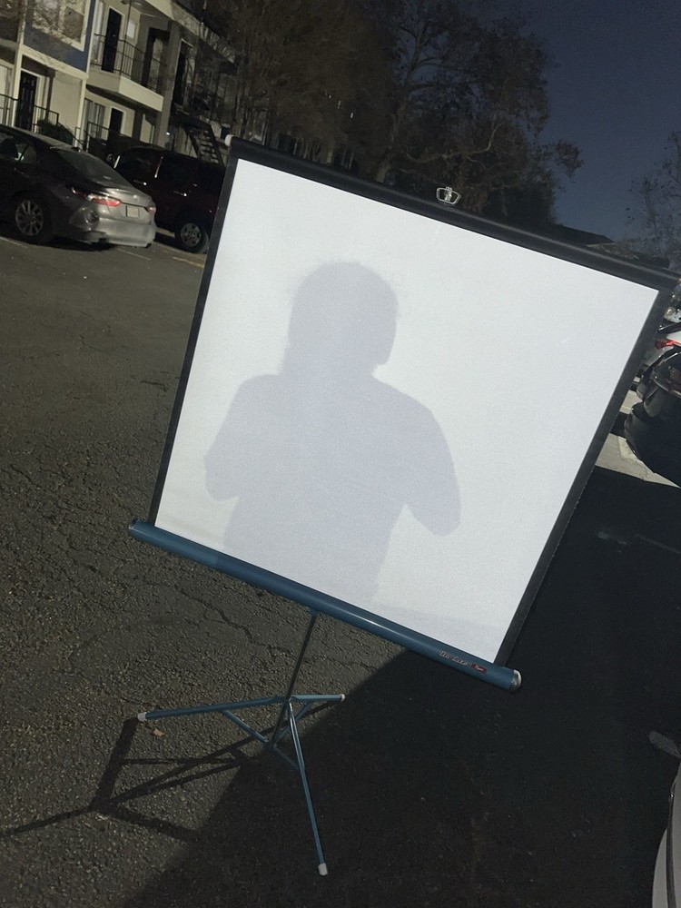 DaLite Projector Screen with Stand! Collapsible Compact Portable