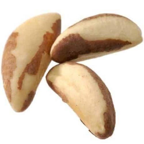 Bulk Brazil Nuts 10 lb Wholesale Box