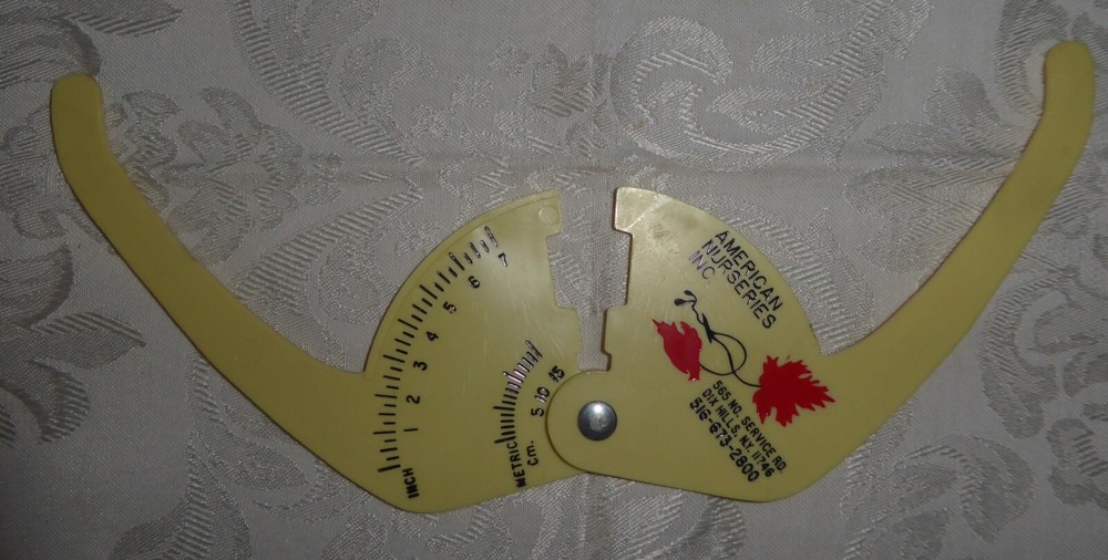 Vintage Caliper - Whitman Nurseries