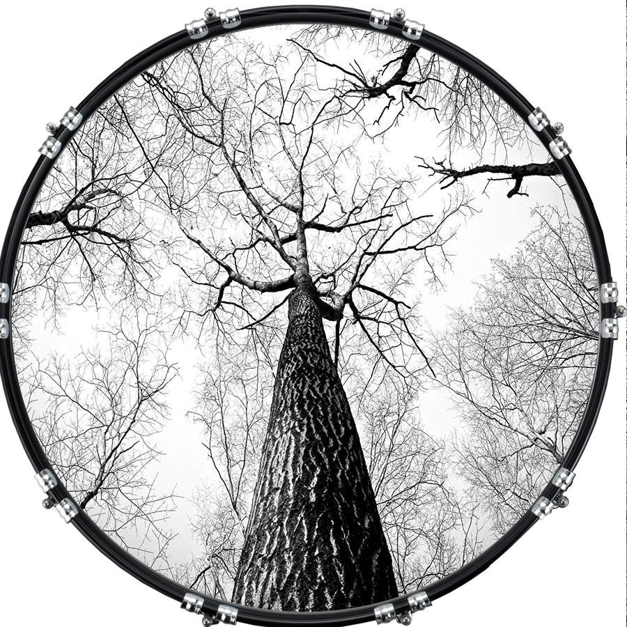 20" Custom Bass Kick Drum Front Head Graphic Graphical Tree 3