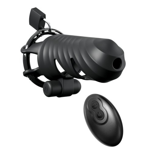 Fantasy C-Ringz Remote Controlled Vibrating Cock Blocker