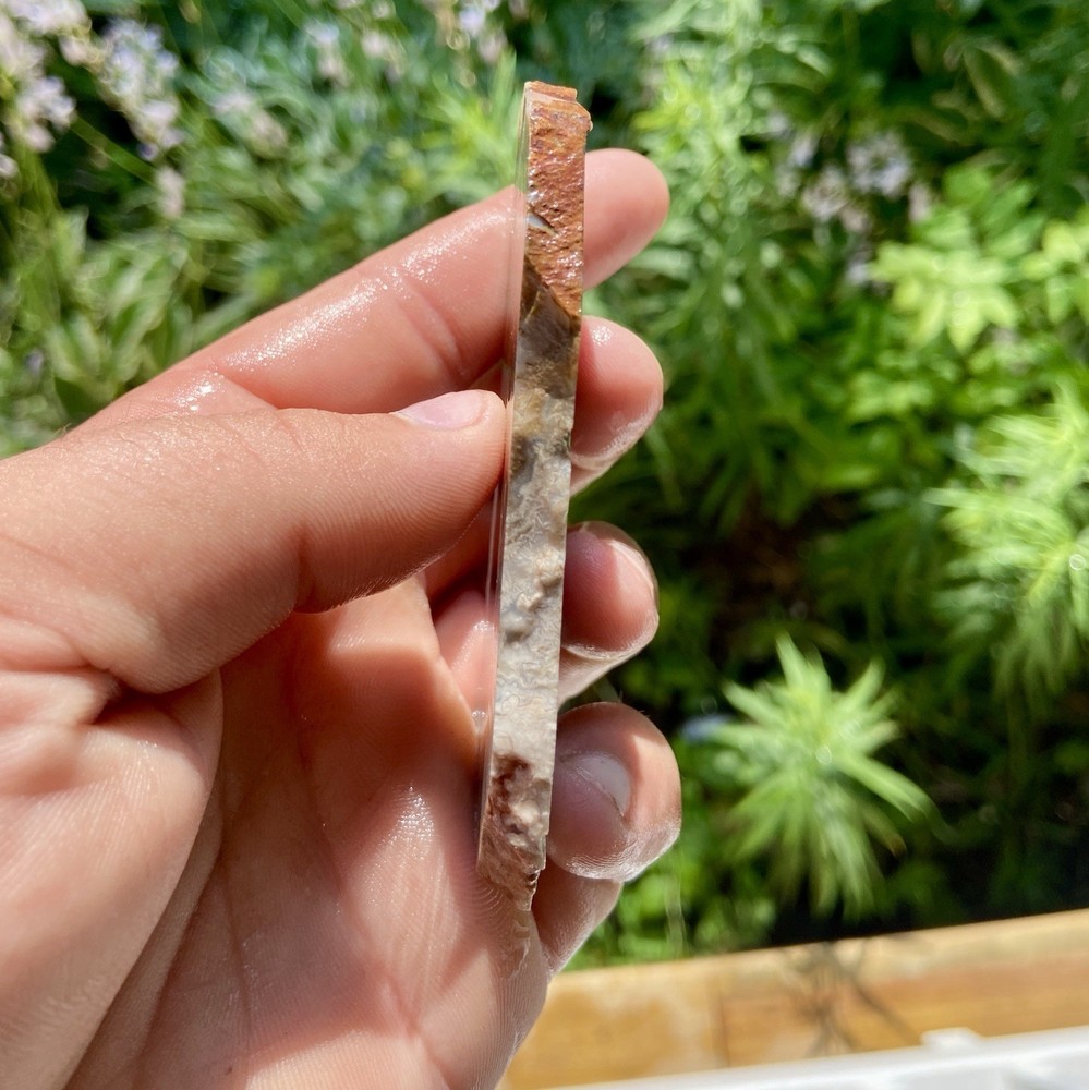 White Crazy Lace Agate Slab 2 Oz