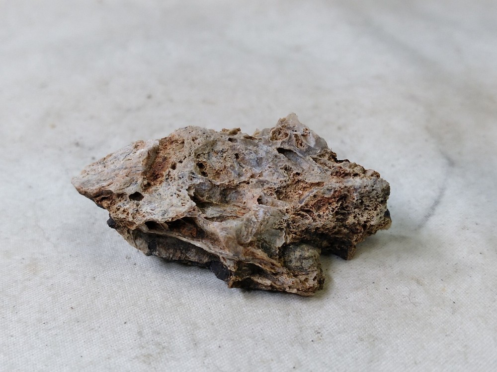 Serpentine 14 g Complex Montana Iron Mountain Rock Mineral Gem