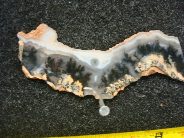 plume agate slab wyoming