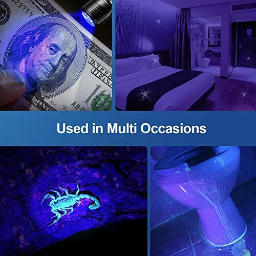 Black Light 2 Pcs Uv Handheld Blacklight Flashlights 12 Led 395nm Mini Light