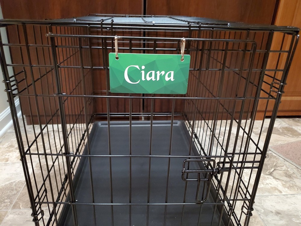 Green Abstract Cube Personalized 5" x 2.5" Dog Crate Tag FREE SHIPPING