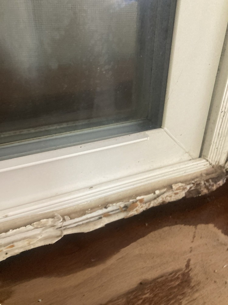 Double Hung Replacement Window 28-1/4 W 45-1/2” H Used