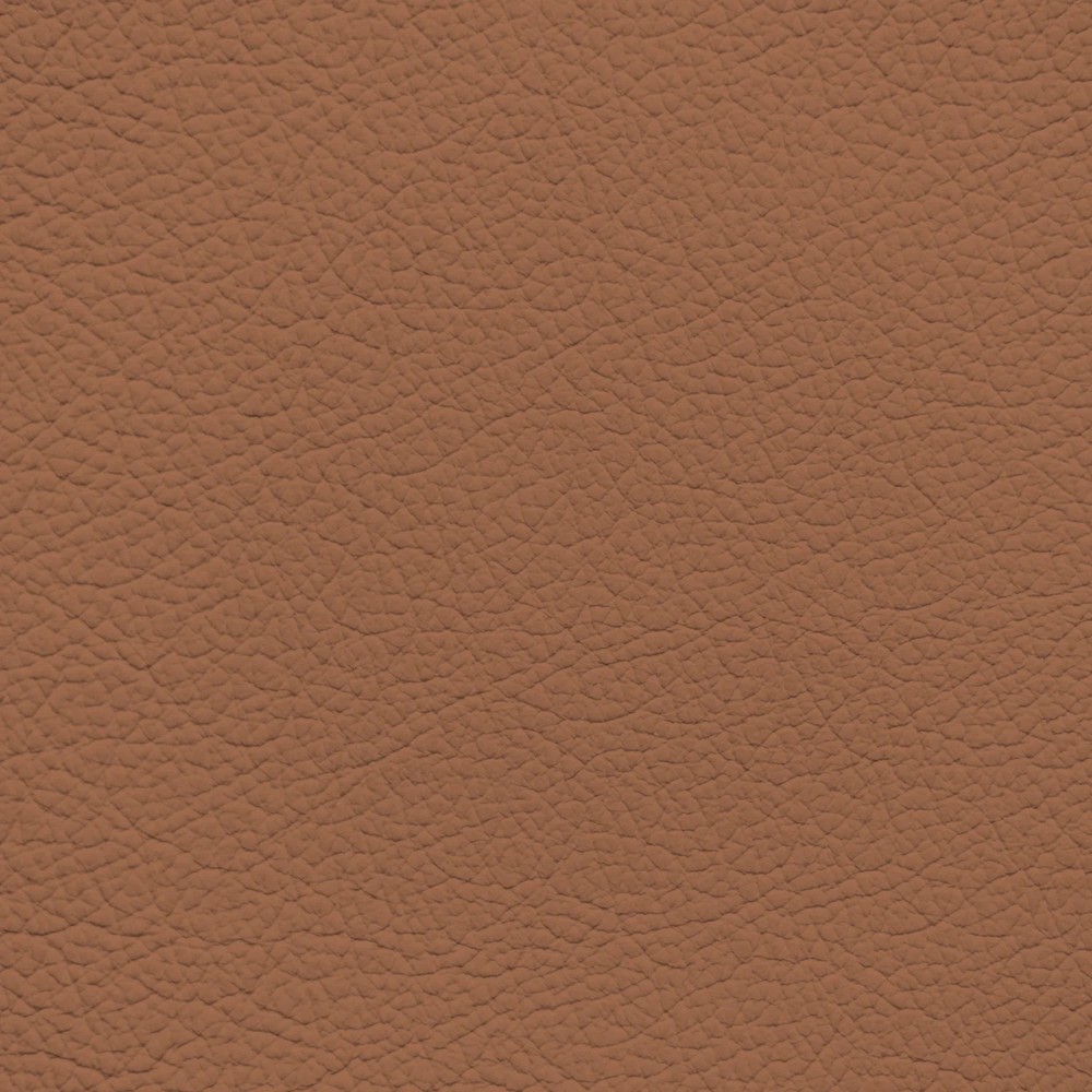 BMW Amaro Brown Leather Dye