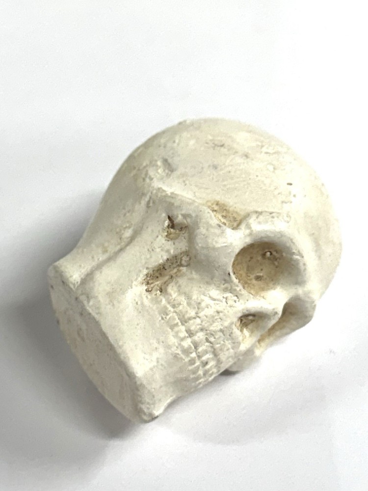 vintage skull Small head Chalkware 1 5/8” White