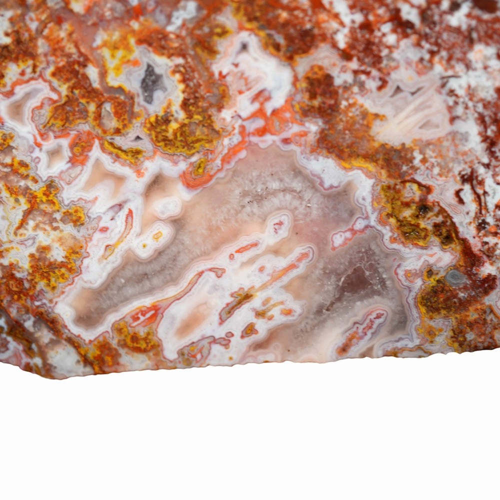 Apple Valley Agate Slab - Multicolor Fortification Tubes Moss