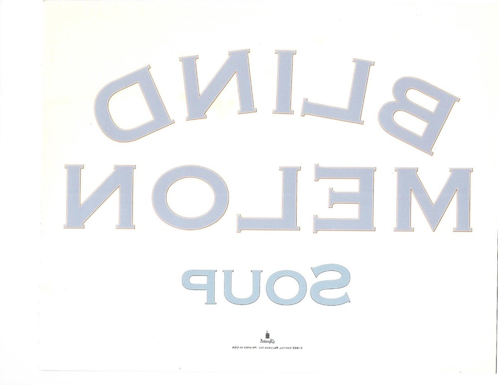 Blind Melon- Soup **Promo Only Large Window Sticker** **Rare**