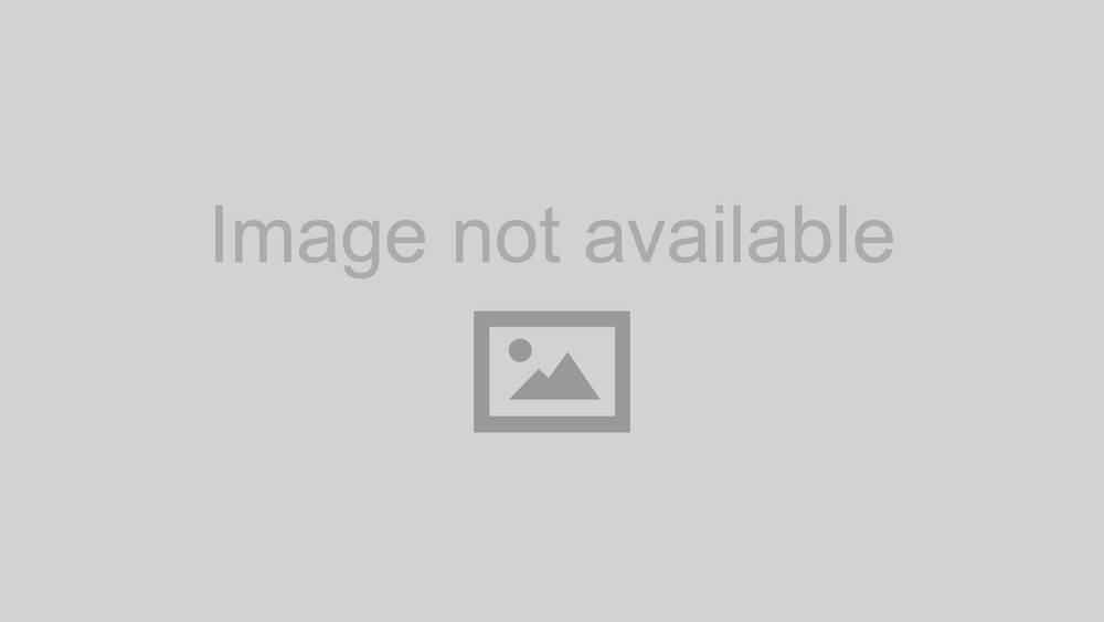 ROUSH20212025F1502PERFORMANC