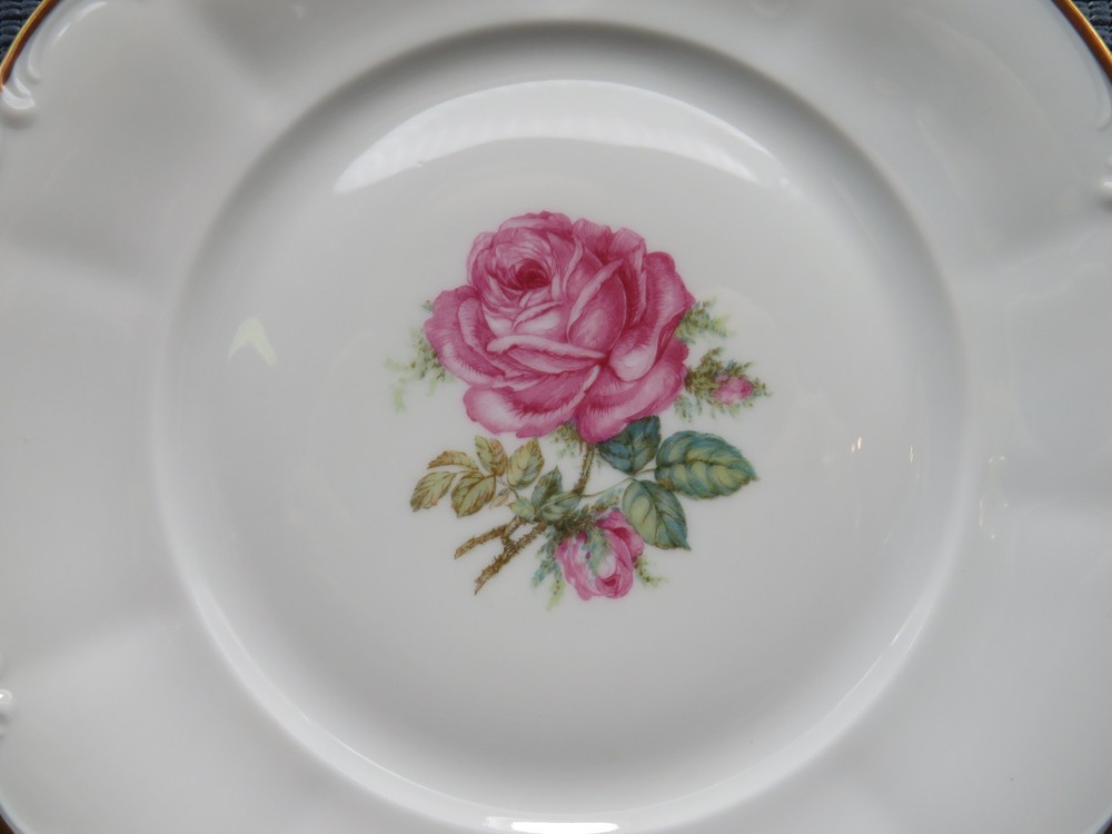 Hutschenreuther Dinnerware The Dundee Pattern Salad Plate 7 7/8"