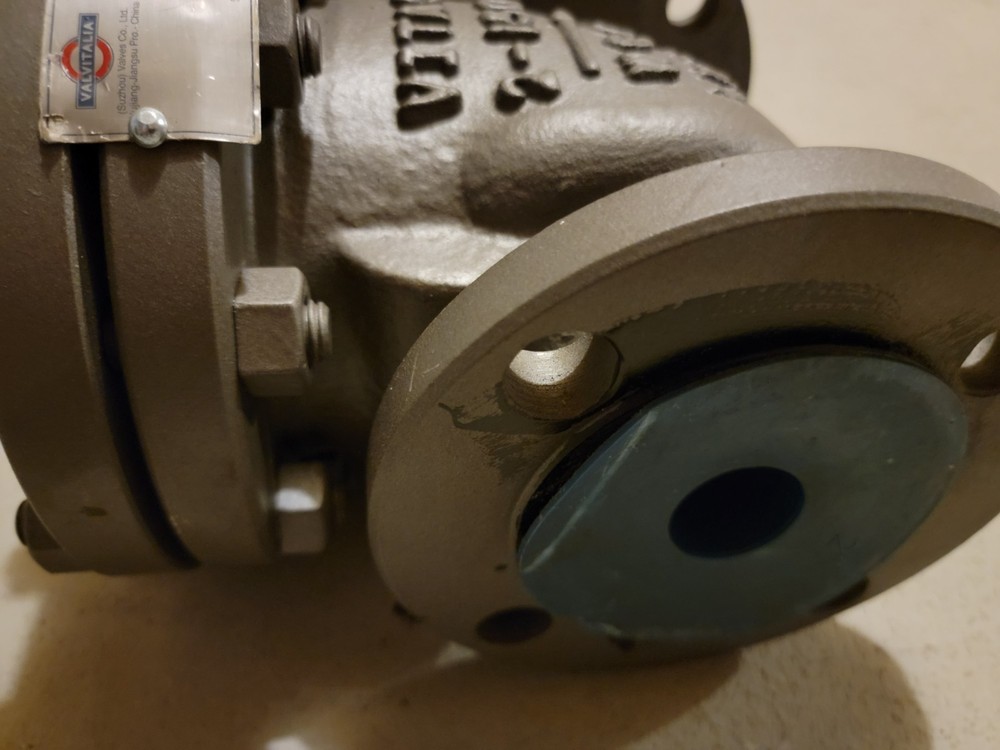 2" Swing Check Valve