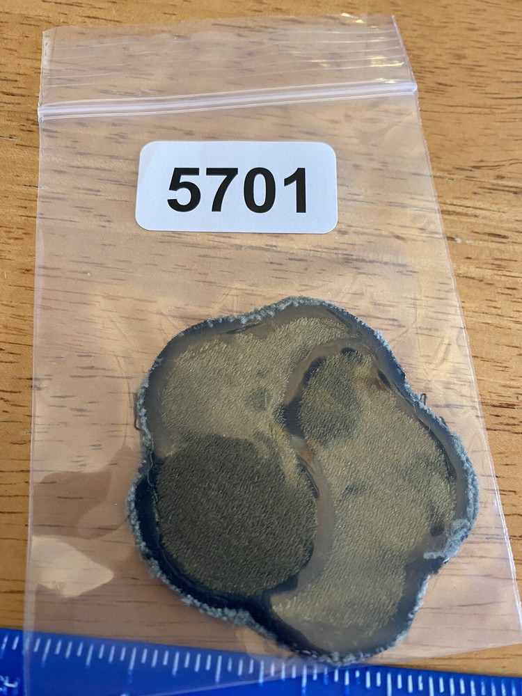 US Army 19th Support Brigade Subdued Patch INV5701