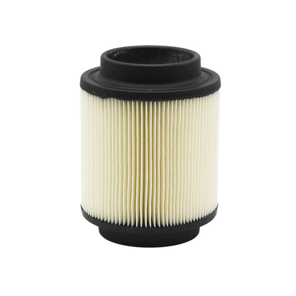 Polaris Filter Assembly, for Specific ATV Models, Genuine OEM - 1253355