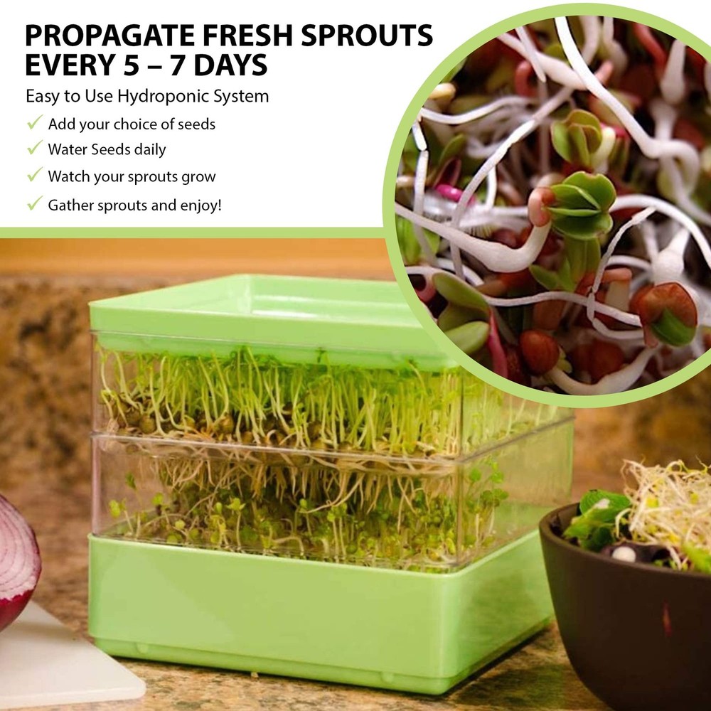 Seed Sprouter Kit: Two-Tier Stackable Tray for Microgreens & Bean Sprouts