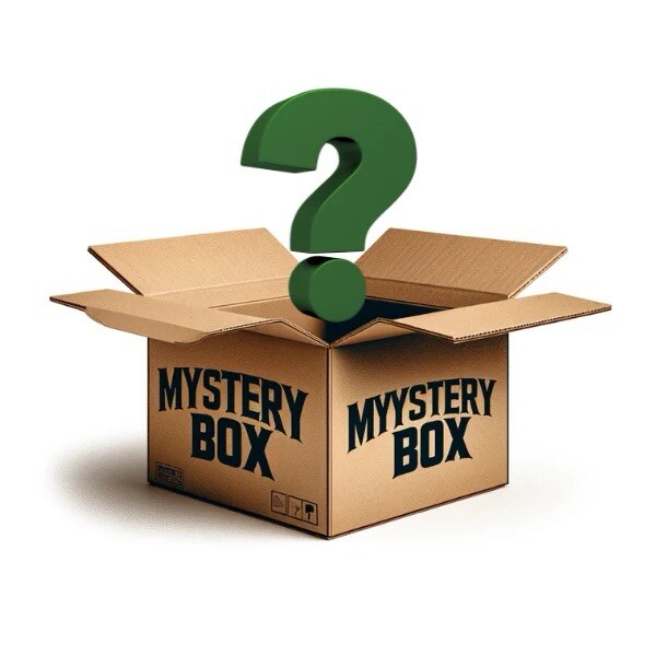 Electronic Mystery Box