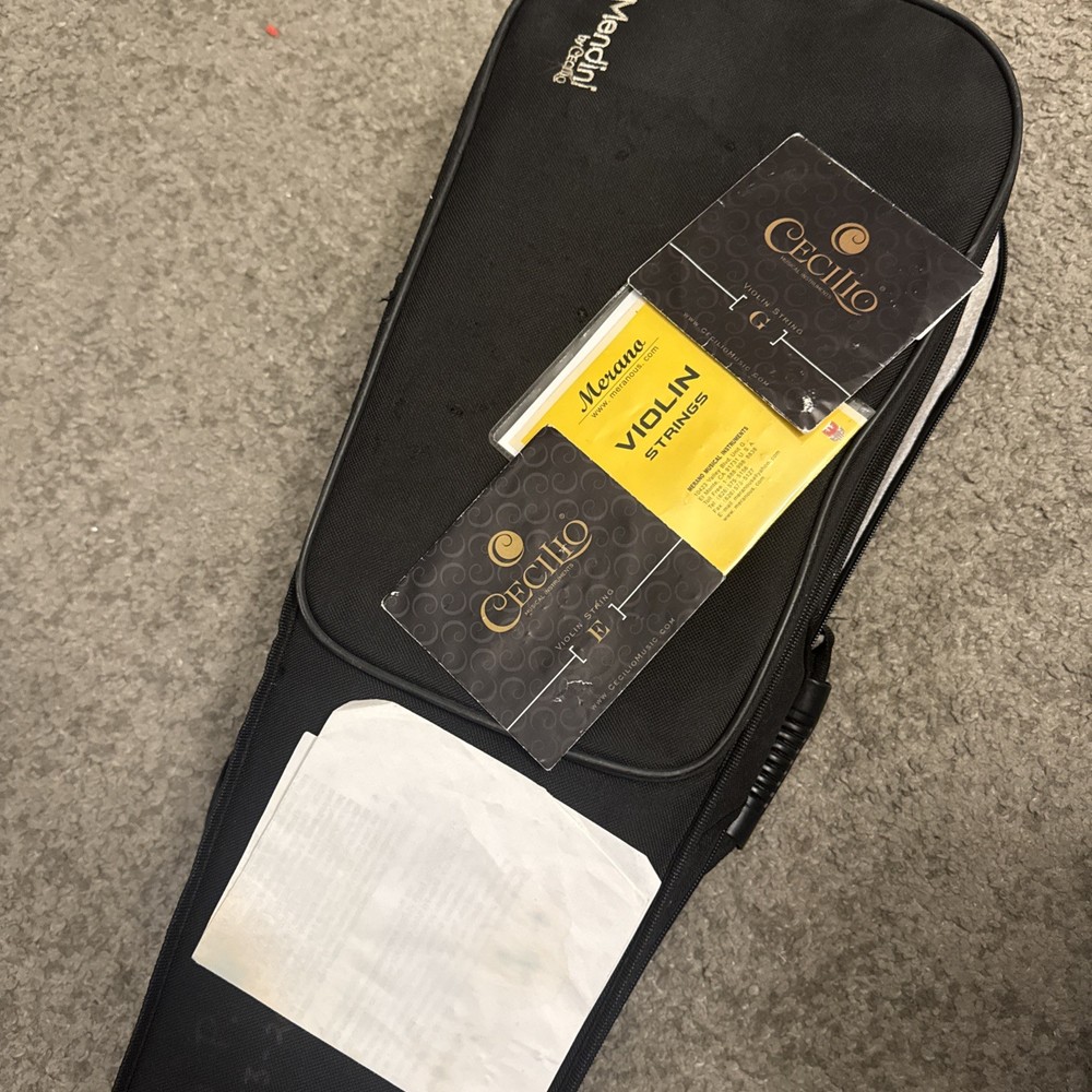 Violin In Case Instrument Mendini
