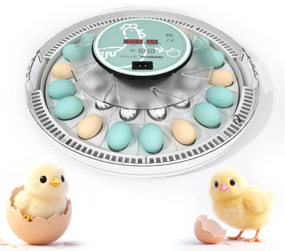 MeeF incubators for Hatching Eggs Automatic 30 Eggs Incubator with Tur