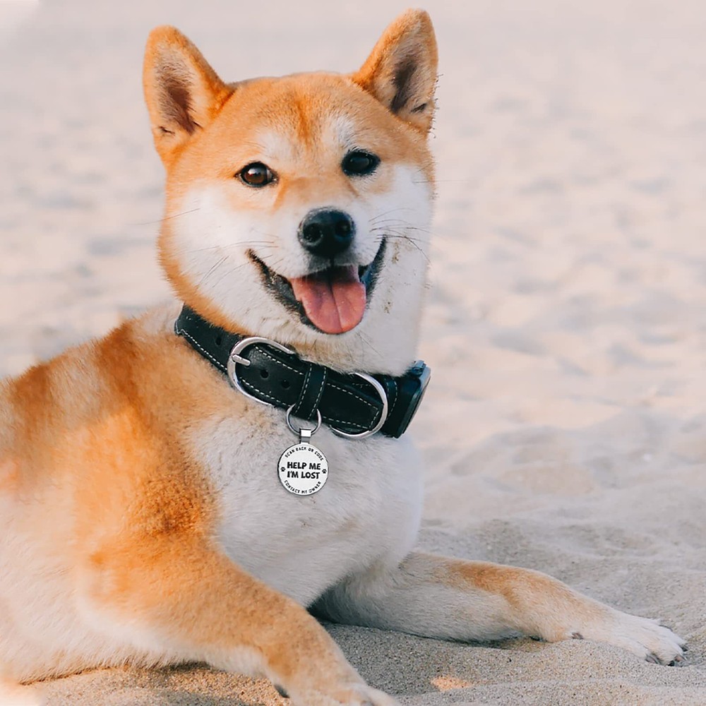 QR Code Dog Tags - Scan for Instant Pet Location Alert