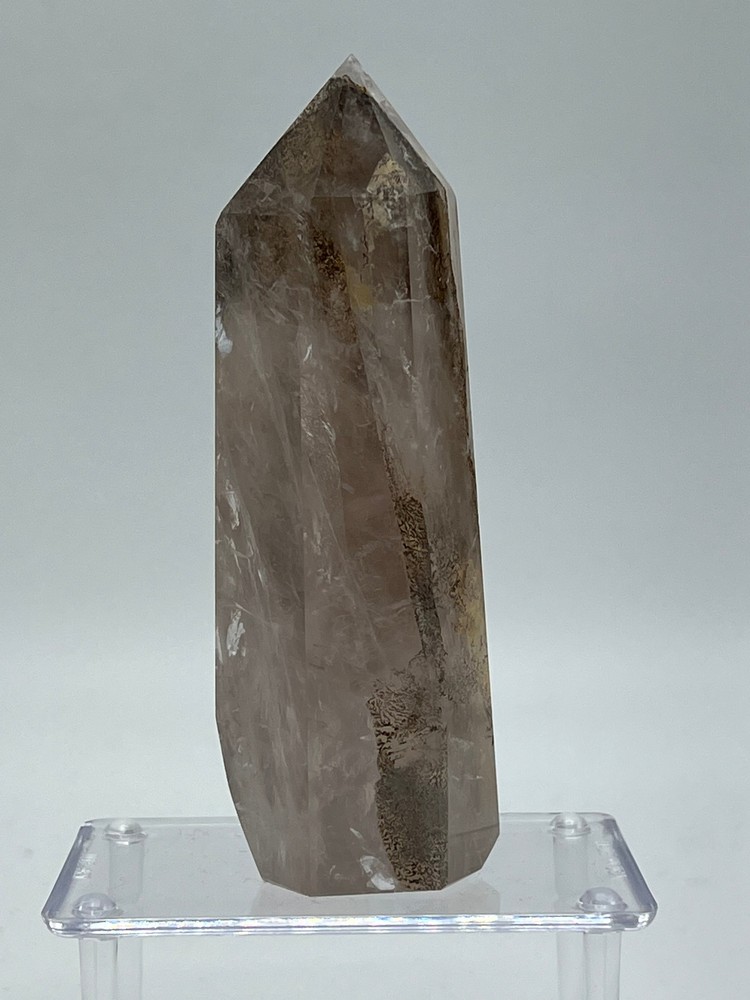 Dendritic Quartz F