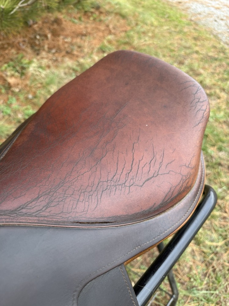 16.5” Northrun Ashland close contact saddle medium tree