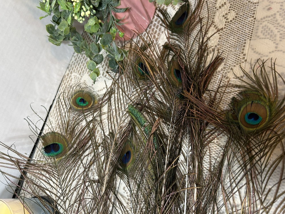 12 peacock feathers