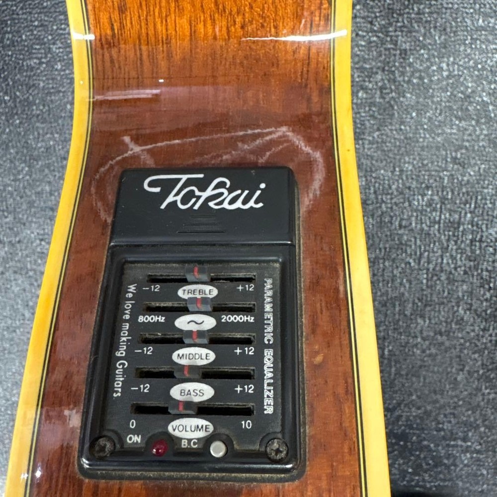 Tokai Eco Guitar One Owner