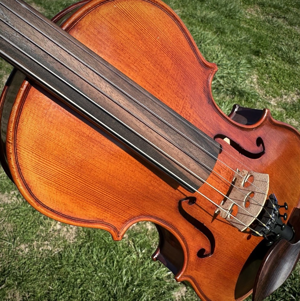 Powerful Guarneri 5-String Violin Pro-Setup Fiddle 4/4