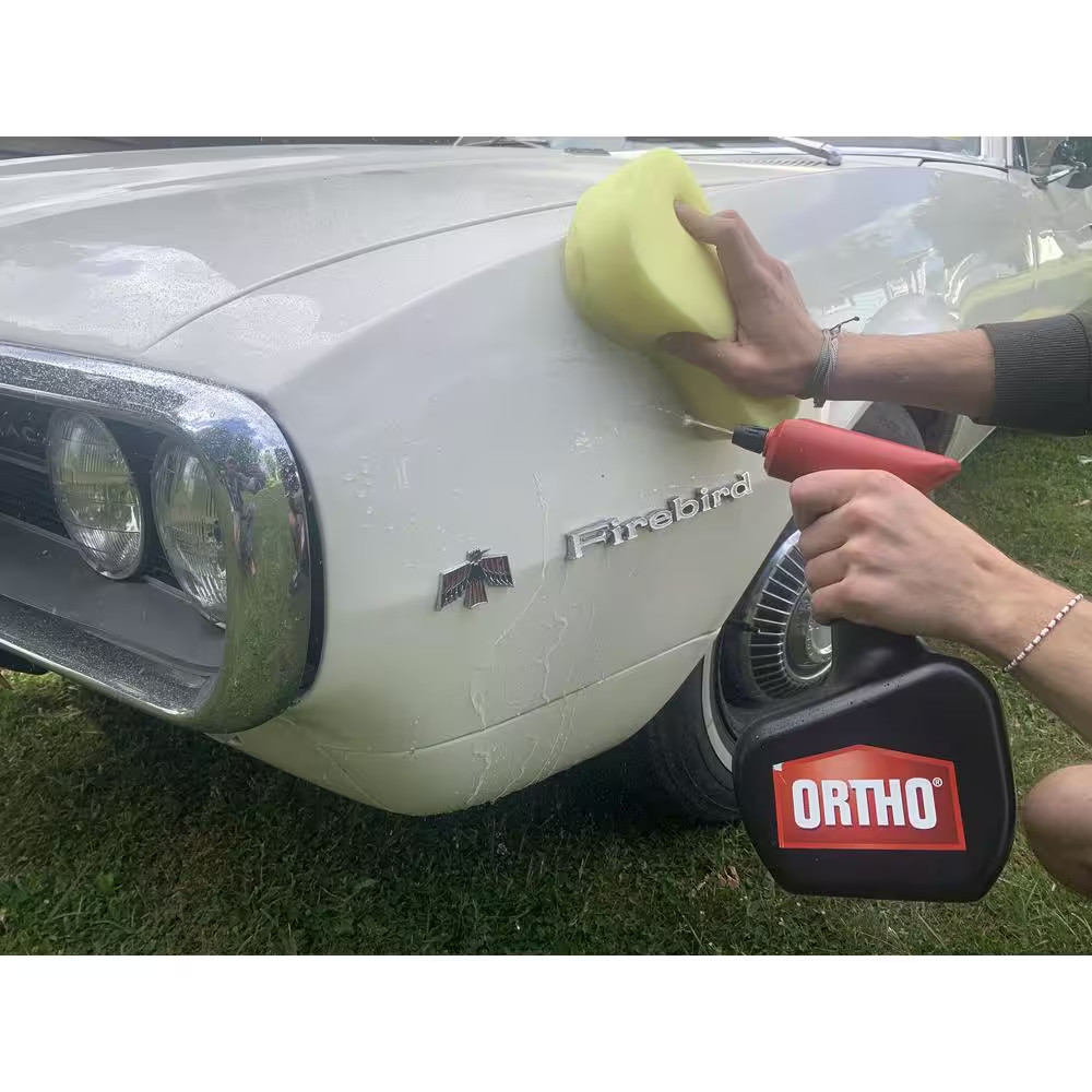 Handheld AA Battery Powered Sprayer