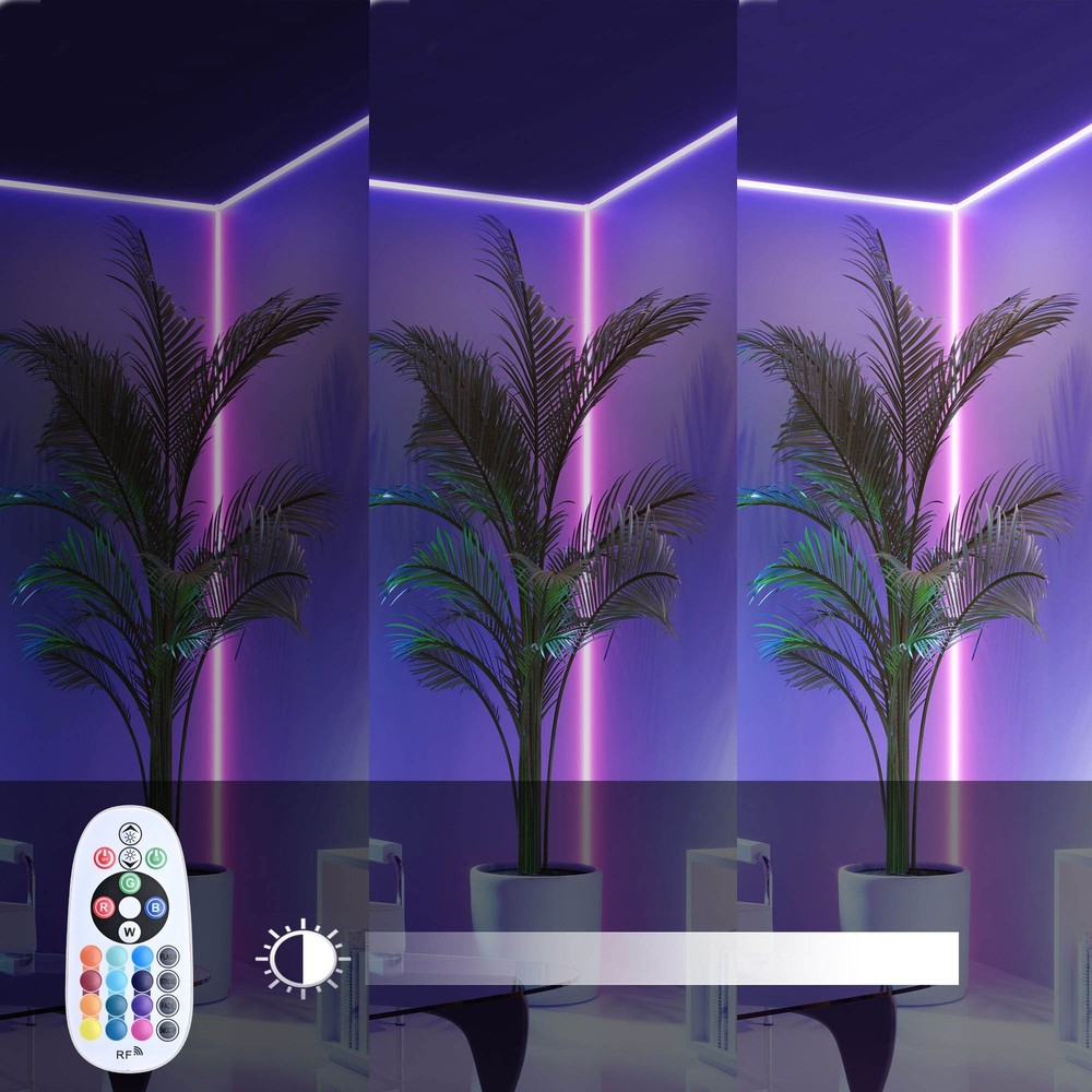 DELight LED Controller w/ RF Remote for DELight Neon Rope Light 1Pack/2Pack Opt