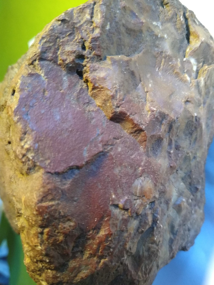 Jasper Replacement Petrified Wood- Over 3-1/4 lbs.