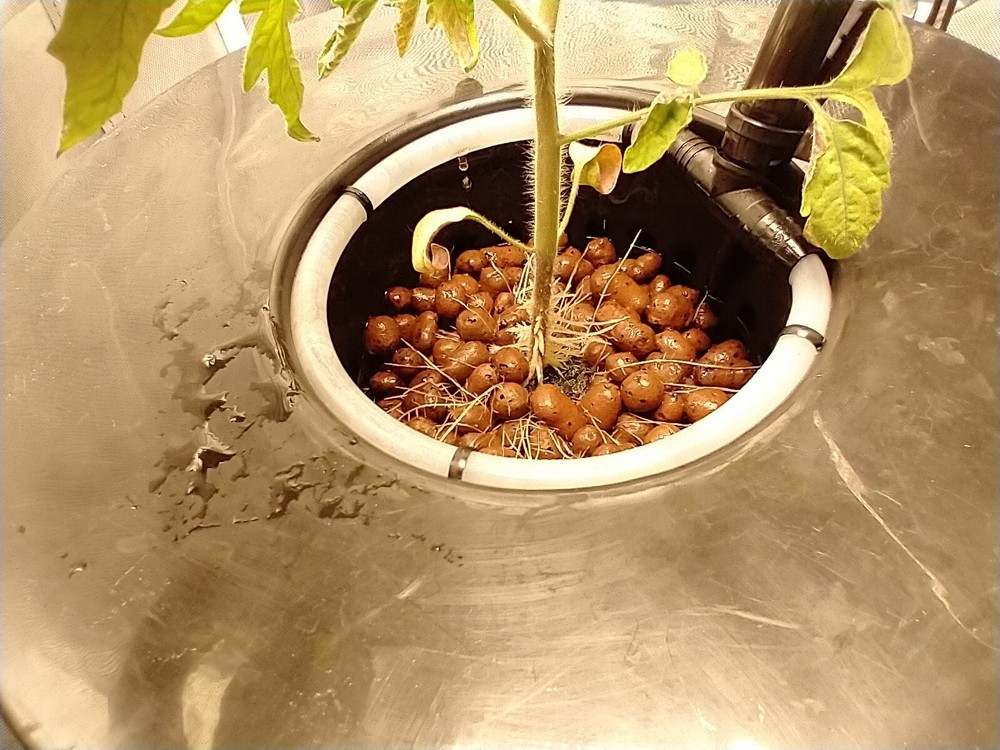 Drip Hydroponic Grow System Complete Super Size Plants Auto-feed Set Up USA Made