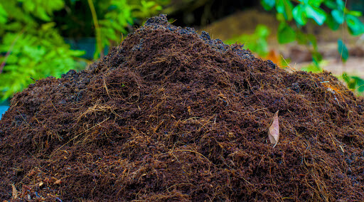Coco Peat Coco coir 100% Natural Organic Hydroponic growing media Fast Shipping