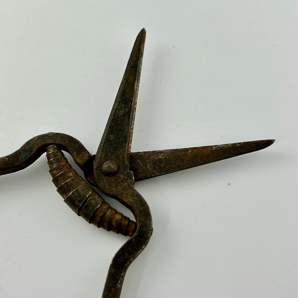 RARE Antique Scissors Primitive Spring Rustic Decor Stylist Collect Tool Crom?