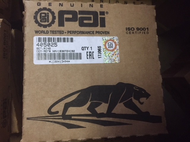 PAI SET Ring 405025 (NEW)