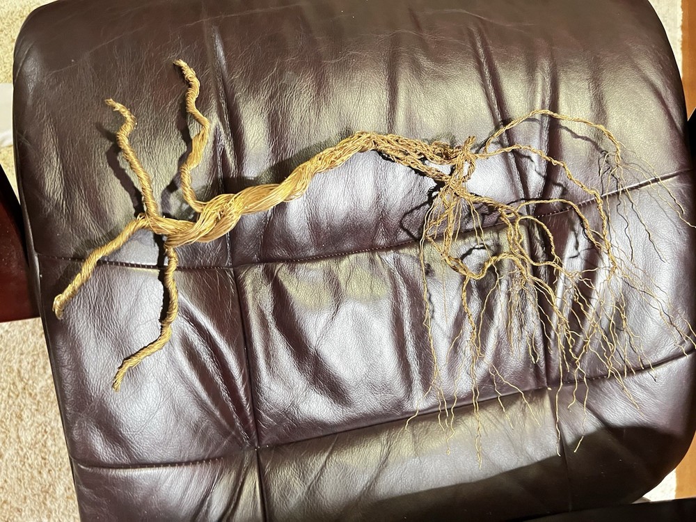 Wind Blown Wire Tree Wall Hanging