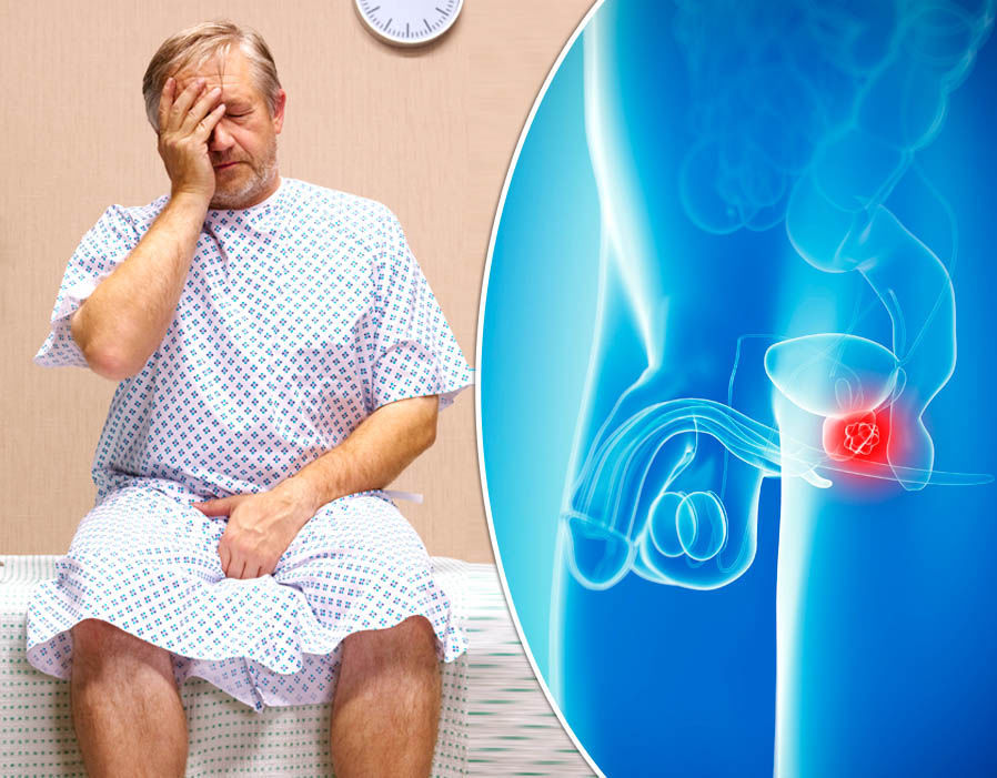 Prostate plus health - PROSTATE SUPPORT - 2 Bottles - prostate gland supplement