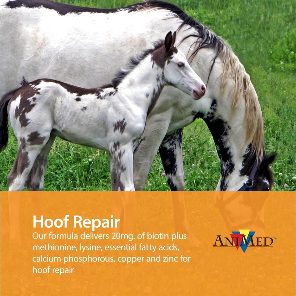 AniMed Remission 4 lb…