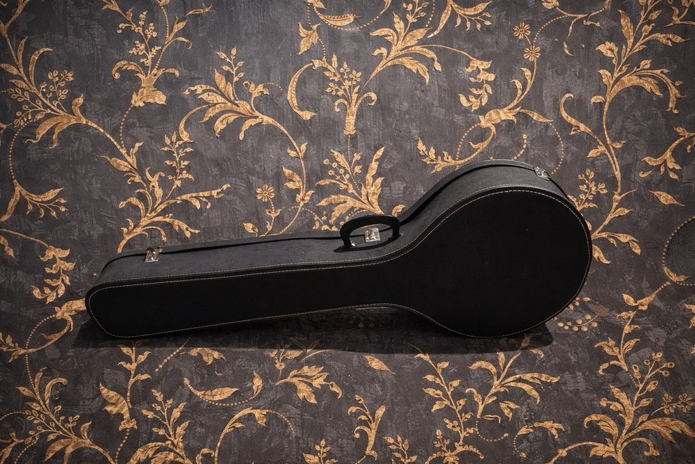 1970s Eagle Model 408 5-String Banjo w/ Case & Paperwork Remo Head