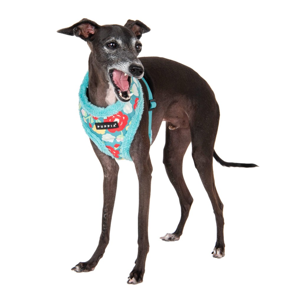 Warm Winter Flower Pattern OverTheHead Dog Harness Adjustable Aqua Small